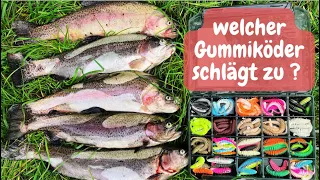 Ultra light Angeln Forellenangeln mit Gummiköder Lachsforellen Libra Lure Garlstedter Fischzucht