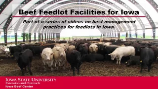 Managing Mud and Manure in Feedlots