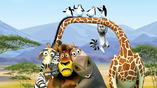 Madagascar 2 Movie Explained in Hindi/Urdu | Madagascar 2 (2008) Film Summarized in हिन्दी/اردو