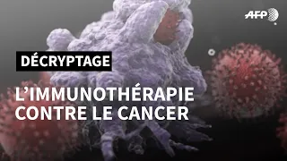 l’immunothérapie: une autre arme contre le cancer | AFP Animé