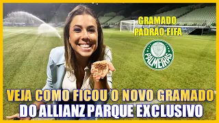 EXCLUSIVO! VEJA COMO FICOU O NOVO GRAMADO DO ALLIANZ PARQUE PADRÃO FIFA