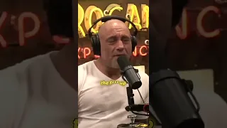 "Do You Want To Die?" - Joe Rogan Reacts To Brendan Schaub Vs. Derrick Lewis