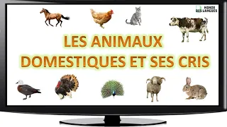 Les animaux domestiques et ses cris