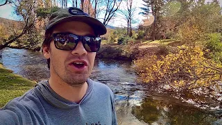 Fishing in Bright | Fly Fishing the Ovens River in May