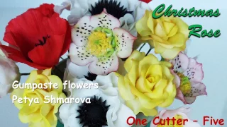 Gumpaste flowers with Petya Shmarova - Christmas Rose Part Three