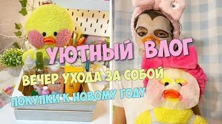 Мой день с уточкой Милкой! ВЛОГ - покупки к Новому году, уход за собой!