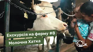 Екскурсія на ферму. #8 ферма «Молочна Хатка»