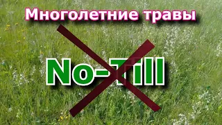 Посев многолетних трав на сено по No Till Обзор