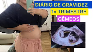 DIÁRIO DA GRAVIDEZ I 1º TRIMESTRE I GEMÊOS I CANDIDIASE NA GRAVIDEZ #maternidade #gêmeos