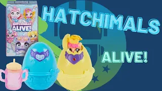 Hatchimals Alive Unboxing Review