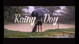 Rainy Day Cinematic Video | Nature Shots with Google Pixel 6 Pro by talk2nazmul