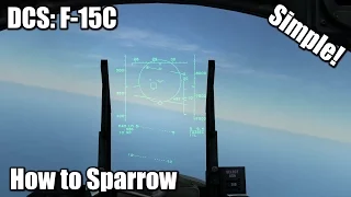 DCS: F-15C Eagle - Simple - How to use Sparrows (AIM-7)