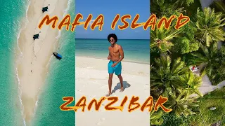 Untouched Paradise: Dive into the Beauty of Mafia Island & Zanzibar