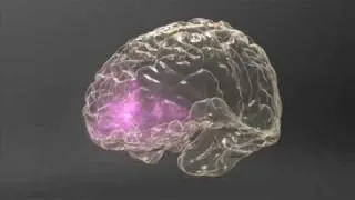 Meth  Inside Out: Brain & Behavior - Triggers