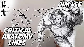 Jim Lee - Critical Anatomy Lines