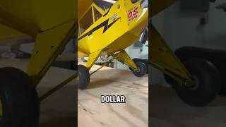 GIANT RC Plane for $100?