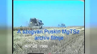 A szegvári Puskin MgTSz archív filmje – Aratás 1988