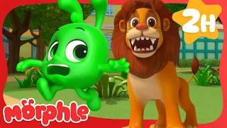 Lions Are Orphley Scary! 🦁 | Morphle | Preschool Learning | Moonbug Tiny TV