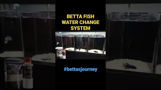 Betta Easy waterchange system#Bettasjourney Productshttps://shp.ee/d38cf3s