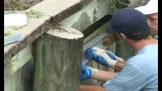 Repair Bulkheads and Seawalls