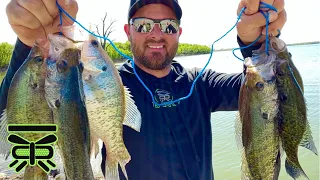 BANK Fishing for CRAPPIE with MINNOWS !🔥 | SLIP CORK & Minnows 🐟 #BARFLY