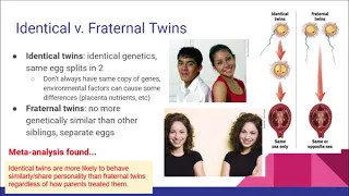 2.6 - Behavioral Genetics - AP Psychology