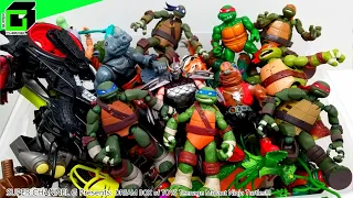 DREAM BOX of TOYS - Teenage Mutant Ninja Turtles!