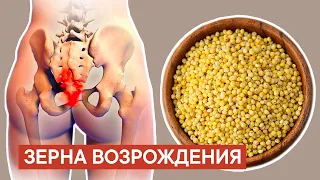 Эти ЗЕРНА способны РАСТВОРЯТЬ КАМНИ и ЗАЖИВЛЯТЬ ДАЖЕ...