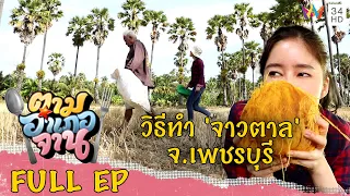 ตามส่องวิธีทำ จาวตาล จ.เพชรบุรี | ตามอำเภอจาน | 14 ม.ค.66 Full EP