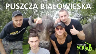 PUSZCZA BIAŁOWIESKA - WIELKA WYPRAWA