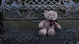 The Teddy - short film