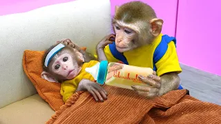 KiKi Monkey takes care of the Cute baby as a Nanny | KUDO ANIMAL KIKI