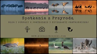 Spotkania z Przyrodą #22 - Warsztat Fotografa - Agnieszka Florczyk i żurawie z Doliny Mgieł