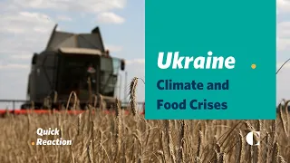 Why Wheat in Ukraine Could Cause Food and Climate Crises