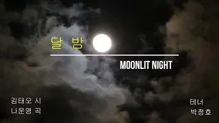 달 밤  moonlit night / 김태오 시 ,나운영 곡 / 테너 박정호 / 한국가곡 Korean art song