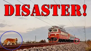 Live Train Accident Caught on Camera! A Speeding Train Hits Dog! :X 😱