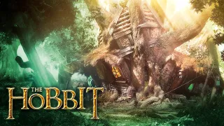 Radagast ⋄ Fantasy Magical Forest House [ASMR] Nature sounds/ Cozy Cabin ⋄The Hobbit/ LOTR Ambience