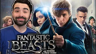 NEWT & HIS FANTASTIC BEASTS (AND WHERE TO FIND THEM) MOVIE REACTION FIRST TIME WATCHING!