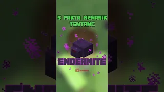 5 FAKTA MENARIK TENTANG ENDERMITE DI MINECRAFT😱 - Fakta Unik Minecraft Indonesia