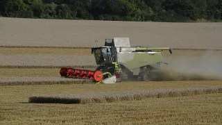 Harvest 2021 - Claas 630 Lexion Cutting Dusty Barley