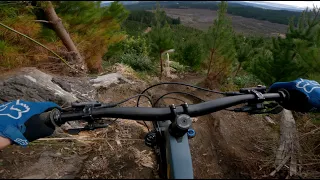 Finally DH Lapping Again in the Redwoods | Rotorua