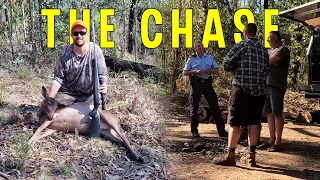 Fallow Deer Hunting In Australian State Forest | Venison Catch & Cook