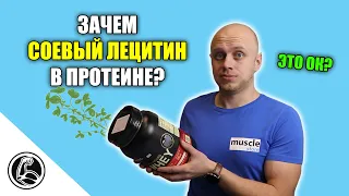 Соевый лецитин - что это? ВРЕД или ПОЛЬЗА?