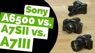 Sony a7III vs a7sII vs a6500 Review: Best Mirrorless Camera for Video? (Reasons to Upgrade to a73)