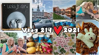 Vlog 219/21 - obrázek, zajíček a oslavička