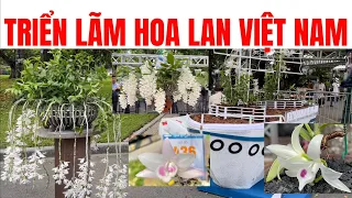 Triển lãm hoa lan việt nam. Sơn cầm