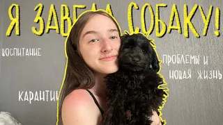 🐶Я ЗАВЕЛА СОБАКУ: первые дни дома, дрессировка и приучение к пеленке