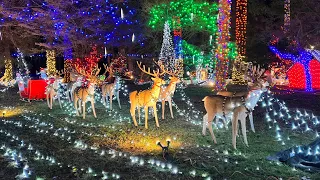 【 4K 】Vancouver Free Holiday Event | Bright nights in Stanley park 2022 | Canada