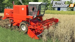 Żniwa Bizonem - Farming Simulator 19 | #24
