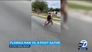 Florida man wrangles 8-foot alligator with his bare hands